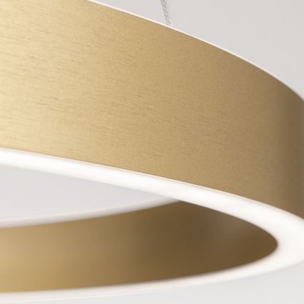 LED luster s mogućnošću prigušivanja na sajli KOLK LED/60W/230V 2700/3000/4000K promjer 60 cm zlatni