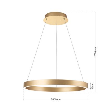 LED luster s mogućnošću prigušivanja na sajli KOLK LED/60W/230V 2700/3000/4000K promjer 60 cm zlatni