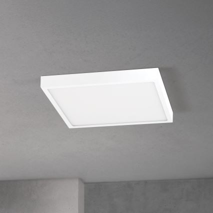 Prigušivo LED stropno svjetlo DISC LED/30W/230V 2700/3000/4000K 39x39 cm bijelo