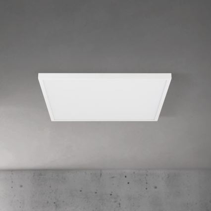 LED stropna svjetiljka s prigušivanjem DISC LED/46W/230V 2700/3000/4000K 59x59 cm bijela