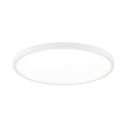 LED stropno svjetlo DISC s mogućnošću prigušivanja LED/46W/230V 2700/3000/4000K pr. 60 cm bijela