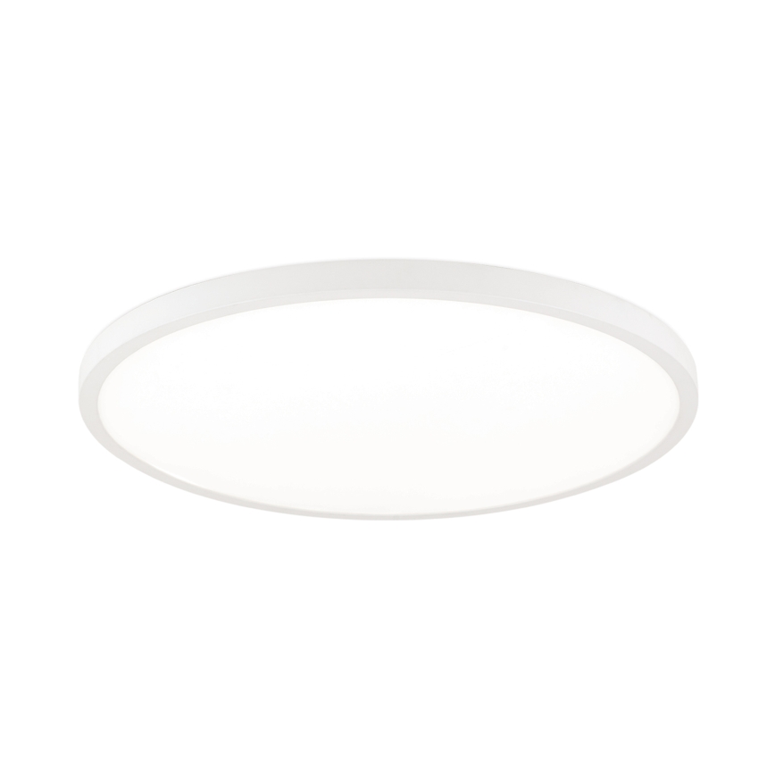 LED stropno svjetlo DISC s mogućnošću prigušivanja LED/46W/230V 2700/3000/4000K pr. 60 cm bijela