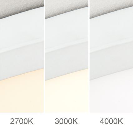 LED stropno svjetlo DISC s mogućnošću prigušivanja LED/46W/230V 2700/3000/4000K pr. 60 cm bijela