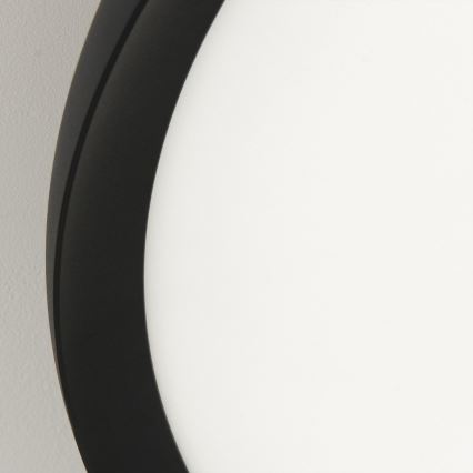 LED stropna svjetiljka KANT LED/66W/230V 2700/3000/4000K promjer 80 cm crna