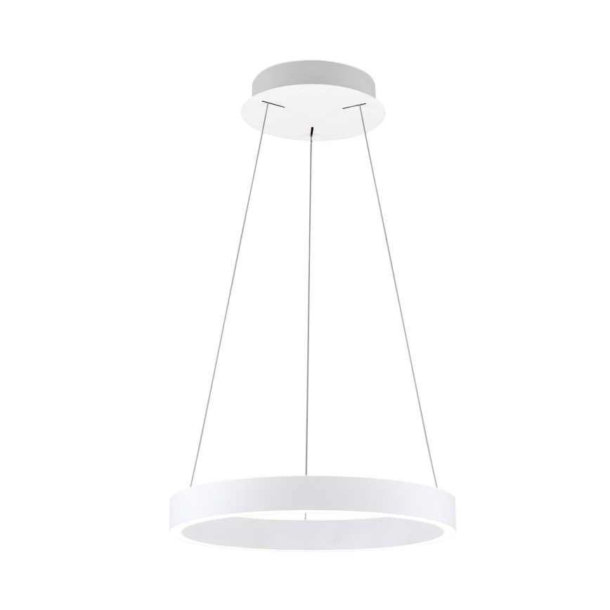 LED luster s mogućnošću prigušivanja na sajli KOLK LED/40W/230V 2700/3000/4000K Ø 40 cm bijela