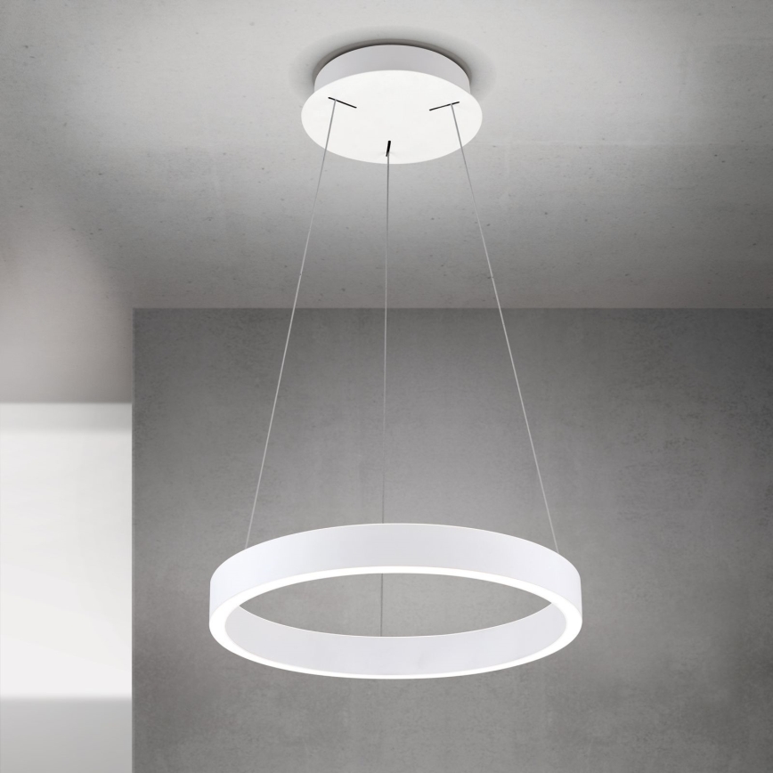 LED luster s mogućnošću prigušivanja na sajli KOLK LED/40W/230V 2700/3000/4000K Ø 40 cm bijela