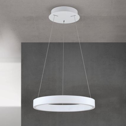 LED luster s mogućnošću prigušivanja na sajli KOLK LED/40W/230V 2700/3000/4000K Ø 40 cm bijela