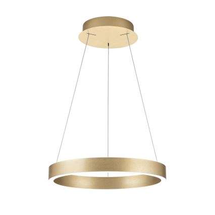 LED luster na užetu KOLK s mogućnošću prigušivanja LED/40W/230V 2700/3000/4000K prom. 40 cm zlatna