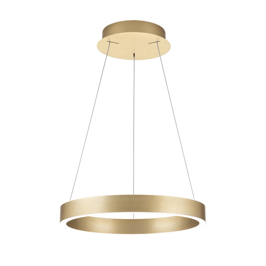 LED luster na užetu KOLK s mogućnošću prigušivanja LED/40W/230V 2700/3000/4000K prom. 40 cm zlatna
