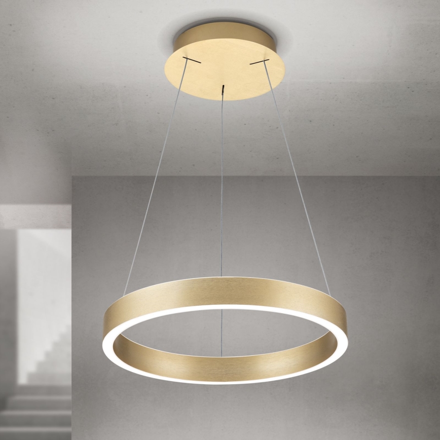 LED luster na užetu KOLK s mogućnošću prigušivanja LED/40W/230V 2700/3000/4000K prom. 40 cm zlatna
