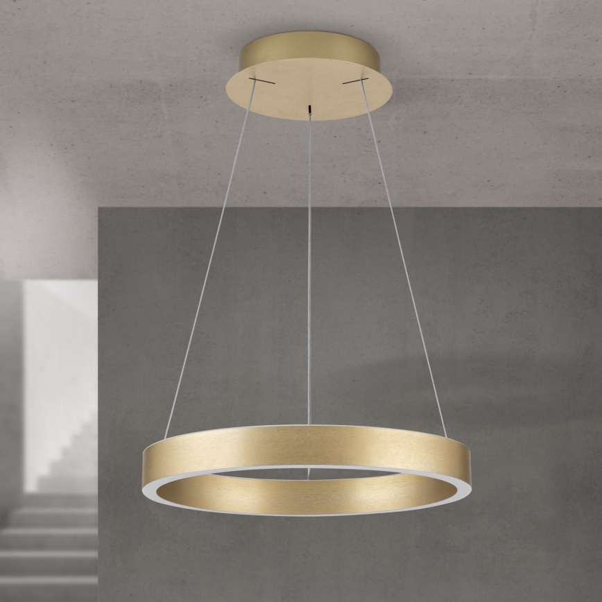 LED luster na užetu KOLK s mogućnošću prigušivanja LED/40W/230V 2700/3000/4000K prom. 40 cm zlatna