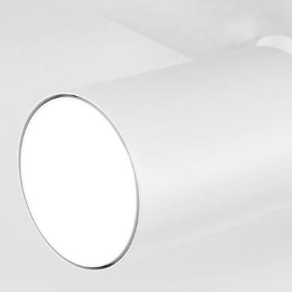 Spot svjetiljka SEAN 5xGU10/13W/230V bijela