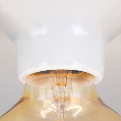 Stropna svjetiljka FROST 1xE27/60W/230V bijela