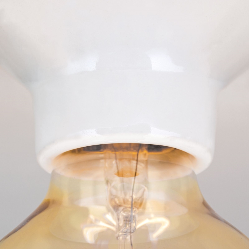 Stropna svjetiljka FROST 1xE27/60W/230V bijela