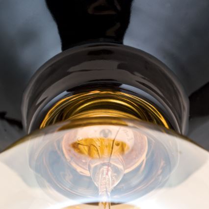 Stropno svjetlo FROST 1xE27/60W/230V crno