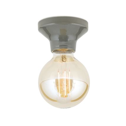 Stropna svjetiljka FROST 1xE27/60W/230V siva