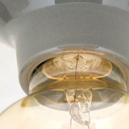 Stropna svjetiljka FROST 1xE27/60W/230V siva