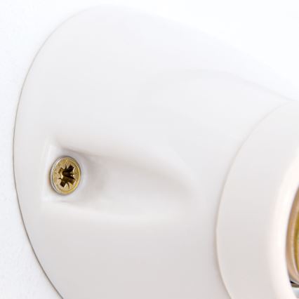 Zidna svjetiljka FROST 1xE27/60W/230V bijela