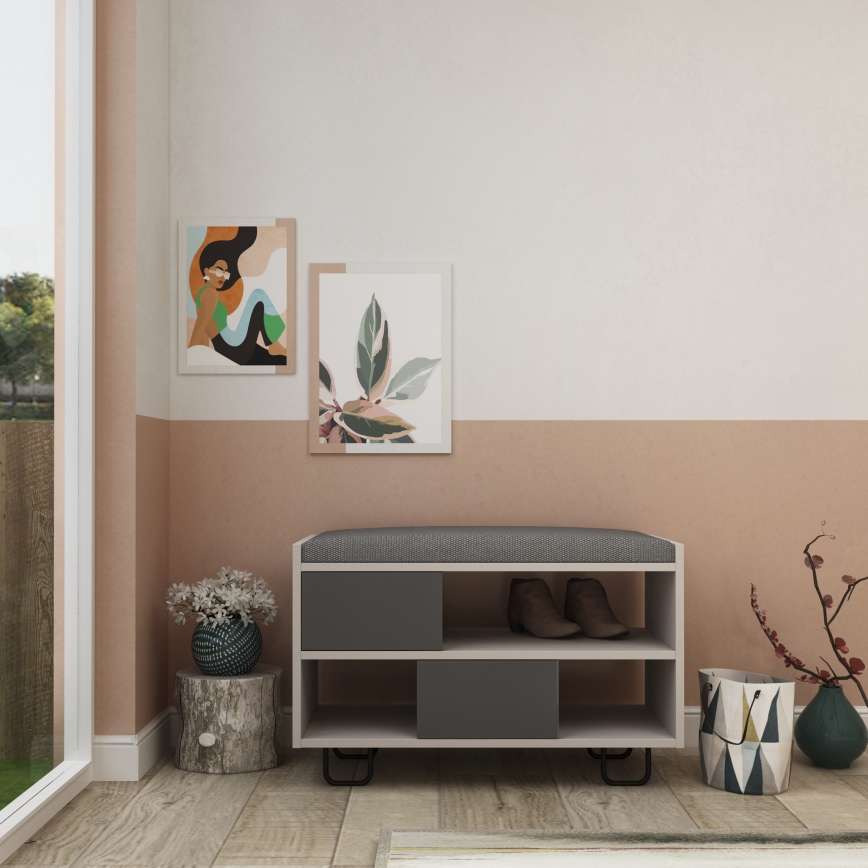Ormarić za cipele TROY 54x84 cm siva/antracit
