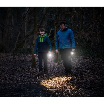 Osram - LED ručna svjetiljka s mogućnošću prigušivanja LEDINSPECT TORCH 350 ESSENTIAL LED/4W/2xAAA IP44