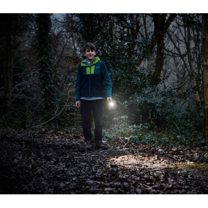 Osram - LED ručna svjetiljka s mogućnošću prigušivanja LEDINSPECT TORCH 350 ESSENTIAL LED/4W/2xAAA IP44