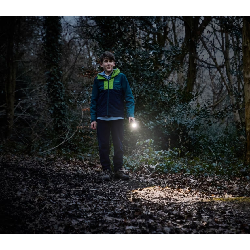 Osram - LED ručna svjetiljka s mogućnošću prigušivanja LEDINSPECT TORCH 350 ESSENTIAL LED/4W/2xAAA IP44