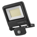 Osram - LED reflektor s senzorom ENDURA LED/50W/230V 3000K IP44