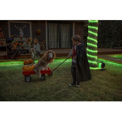 Osram - LED RGB vanjska traka s mogućnošću prigušivanja FLEX 10 m LED/70W/230V IP65 + s daljinskim upravljačem