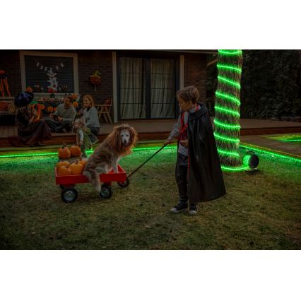 Osram - LED RGB traka za vanjsku upotrebu s mogućnošću prigušivanja FLEX 15m LED/100W/230V IP65 + daljinski upravljač