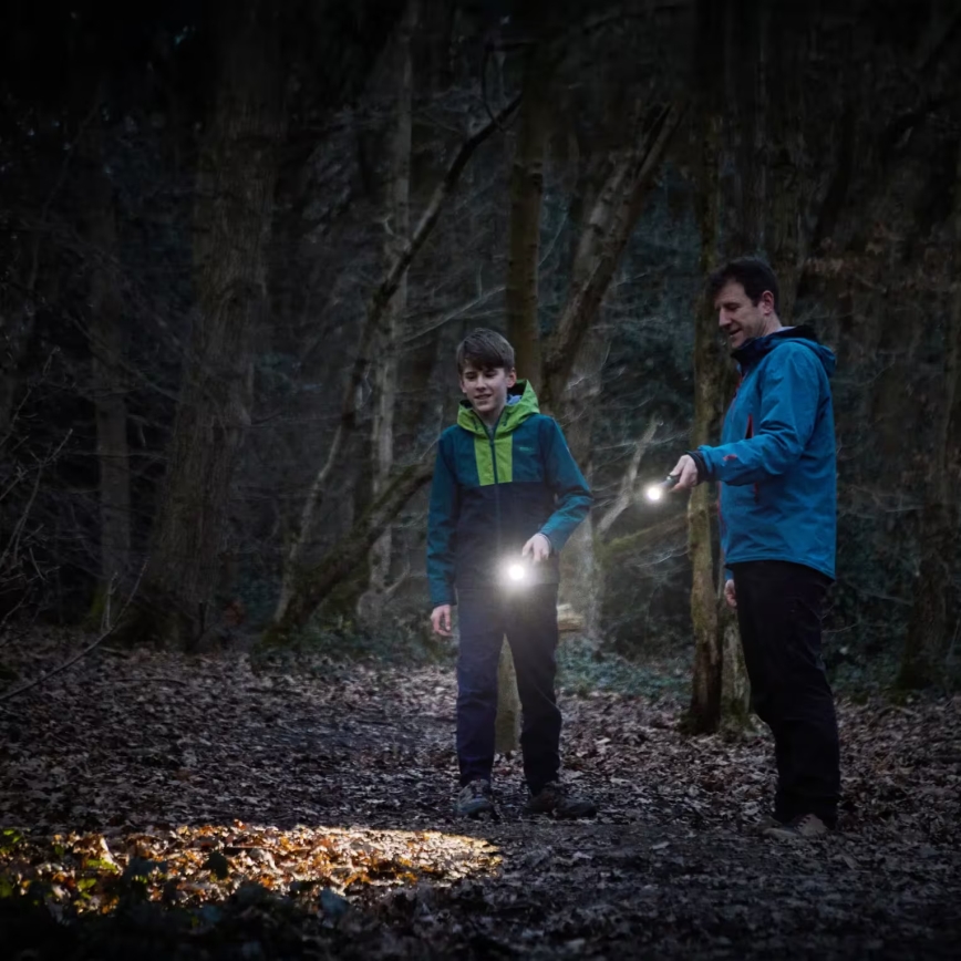 Osram - LED ručna svjetiljka s prigušivanjem LEDINSPECT TORCH 450 ESSENTIAL LED/6W/3xAAA IP44