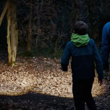 Osram - LED ručna svjetiljka s prigušivanjem LEDINSPECT TORCH 450 ESSENTIAL LED/6W/3xAAA IP44