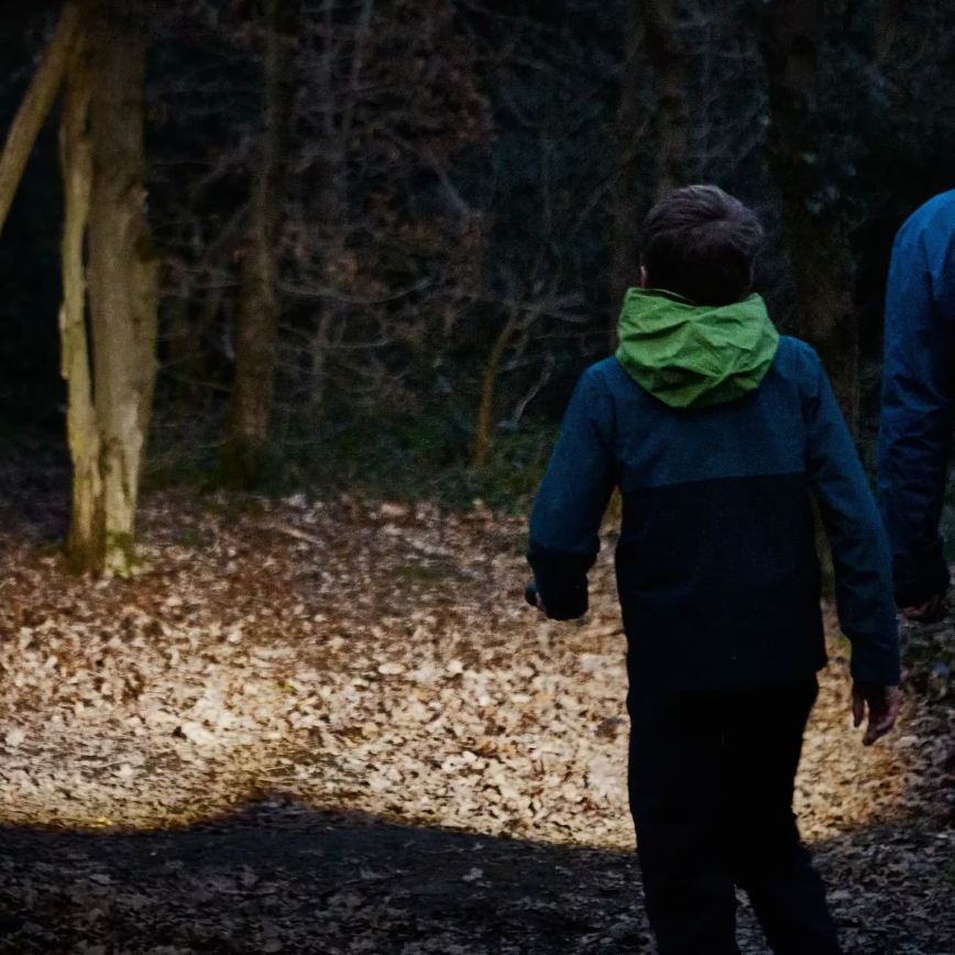 Osram - LED ručna svjetiljka s prigušivanjem LEDINSPECT TORCH 450 ESSENTIAL LED/6W/3xAAA IP44