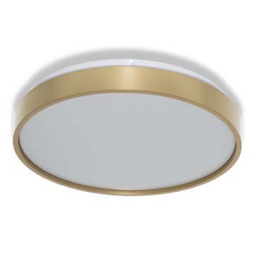 Osram - LED stropna svjetiljka CEILING LUXO LED/18W/230V, promjer 32 cm, zlatna