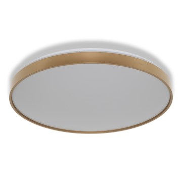 Osram - LED stropna svjetiljka CEILING LUXO LED/60W/230V Ø 56 cm zlatna