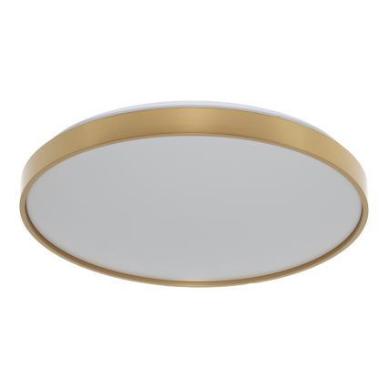 Osram - LED stropno svjetlo CEILING LUXO LED/36W/230V Ø 49 cm u zlatnoj boji