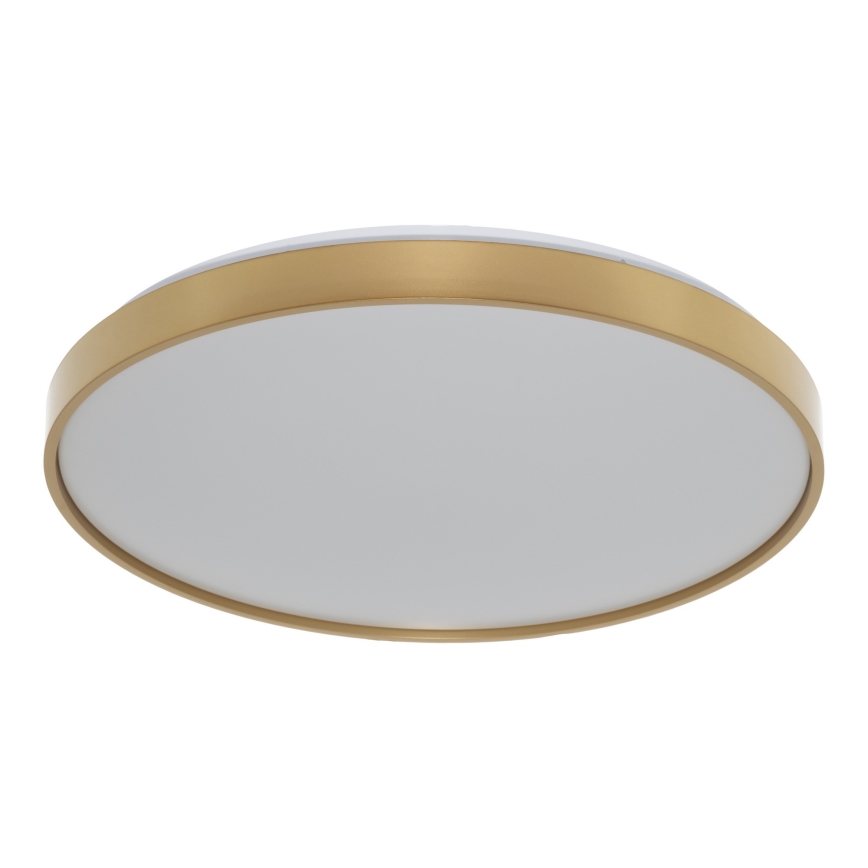 Osram - LED stropno svjetlo CEILING LUXO LED/36W/230V Ø 49 cm u zlatnoj boji