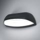 Osram - LED Vanjska zidna svjetiljka ENDURA LED/12W/230V IP44 crna