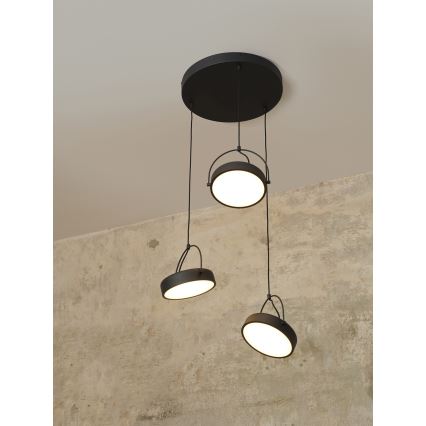 Osram - LED viseći luster na sajli DECOR PUCK 3xLED/12W/230V CRI 90 crni