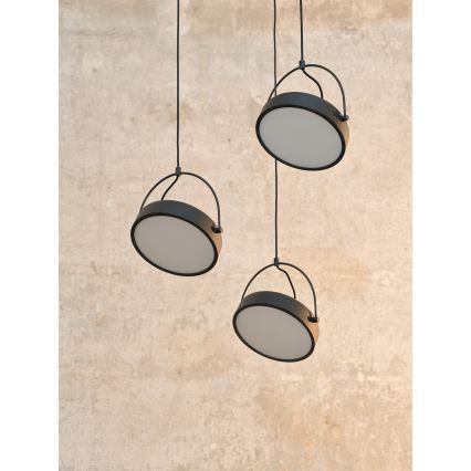 Osram - LED viseći luster na sajli DECOR PUCK 3xLED/12W/230V CRI 90 crni