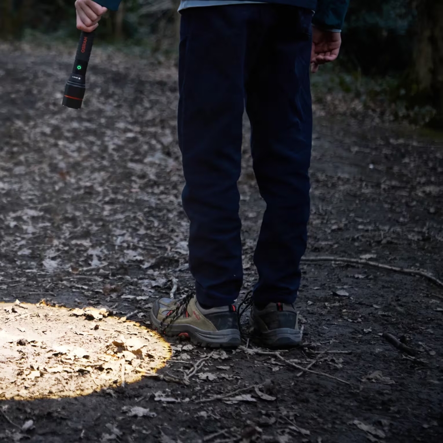 Osram - LED punjiva svjetiljka s prigušivanjem LEDINSPECT PRO TORCH 1200 LED/13W/3,6V 4000 mAh IP44