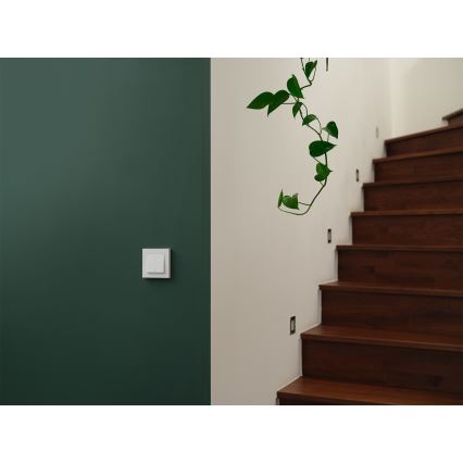 Osram - SMART+ MATTER 230V Wi-Fi prekidač s 2 tipkama