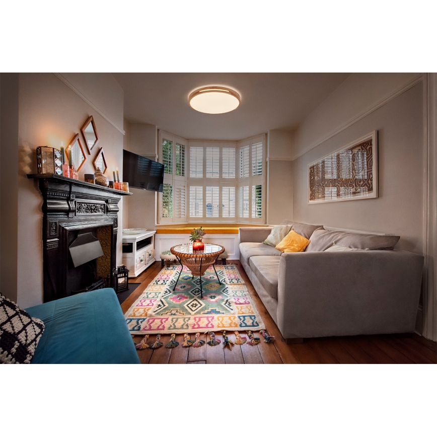 Osram - stropna LED svjetiljka s mogućnošću prigušivanja ORBIS WOODBURRY LED/16W/230V Ø 30 cm