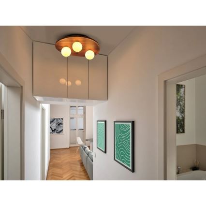 Osram - Stropna svjetiljka ACACIA NEST 3xG9/5W/230V akacija