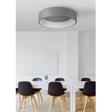 LED Stropna svjetiljka KAJI LED/20W/230V