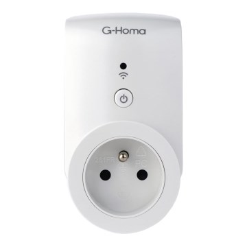 Pametna utičnica 3680W/TYPE/230V Wifi + timer
