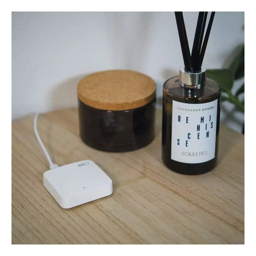 Pametni pristupnik GoSmart ZigBee 3.0 5V Wi-Fi