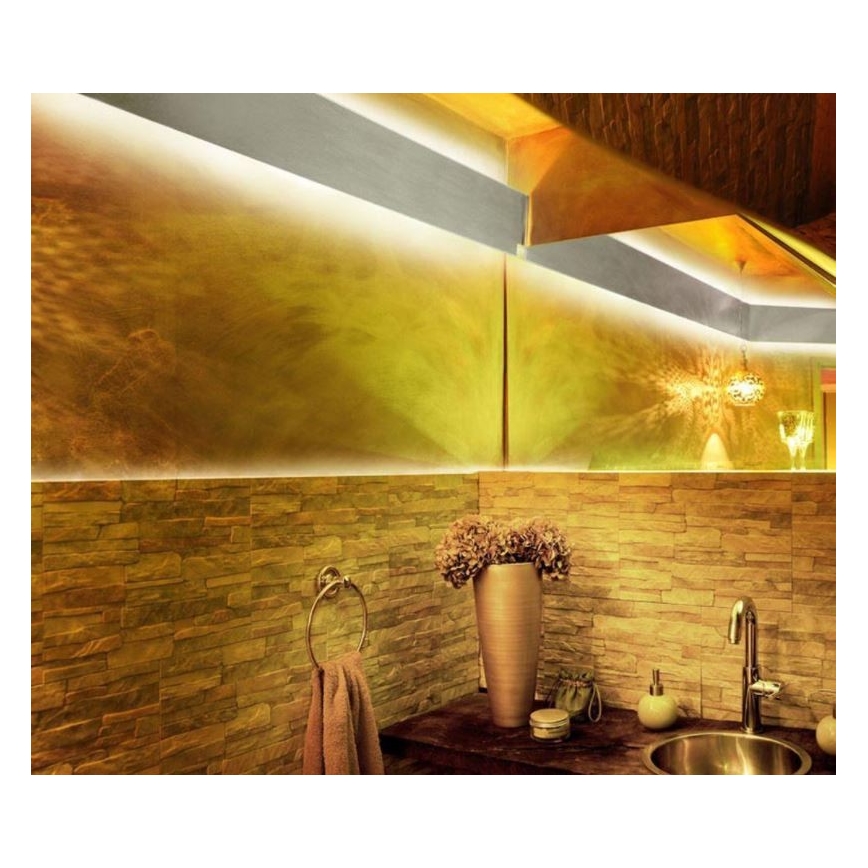 Paul Neuhaus 1205-70 - LED RGB Prigušiva traka TEANIA 10m LED/30W/12/230V + daljinski upravljač