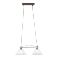 Paul Neuhaus 15242-48 - Luster na sajli NELLY 2xE14/40W/230V
