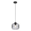 Paul Neuhaus 2005-25 - Luster na sajli BOLETUS 1xE27/10W/230V pr. 23,5 cm siva