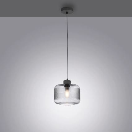 Paul Neuhaus 2005-25 - Luster na sajli BOLETUS 1xE27/10W/230V pr. 23,5 cm siva